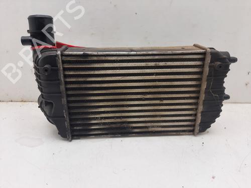 Intercooler CITROËN JUMPER I Van (244) 2.8 HDi | BP17621620M30 