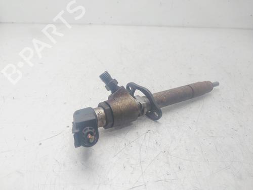 Injector LAND ROVER DISCOVERY III (L319) 2.7 TD 4x4 | BP29479793M100 