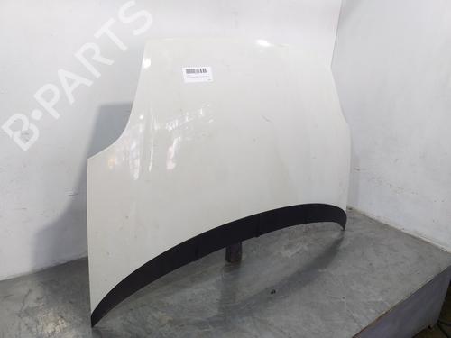 Hood FIAT GRANDE PUNTO (199_) 1.4 (199AXB11, 199AXB1A, 199BXB1A, 199AXL1A) | BP17066998C1
