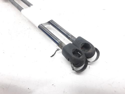 Tailgate lift support RENAULT SCÉNIC II (JM0/1_) 1.9 dCi (JM0G, JM12, JM1G, JM2C) | BP13999739C138 