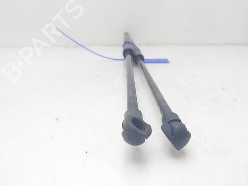 Tailgate lift support NISSAN QASHQAI I (J10, NJ10) 2.0 dCi | BP14007772C138 