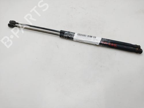 Used Tailgate lift support FORD FOCUS C-MAX (DM2) [2003-2007]  25028439
