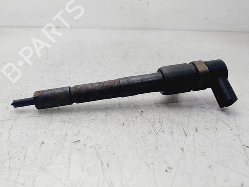 Injector FIAT DOBLO MPV (119_, 223_) 1.3 JTD | BP29820892M100 