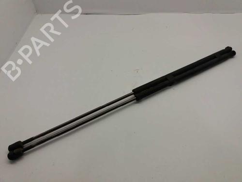 Tailgate lift support FORD TOURNEO CONNECT 1.8 TDCi /TDDi /DI | BP13989898C138 
