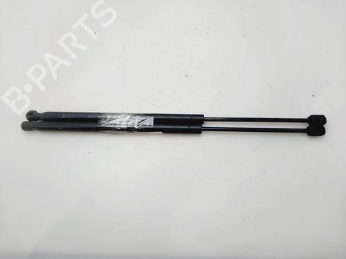 Used Tailgate lift support RENAULT GRAND SCÉNIC II (JM0/1_) 1.5 dCi (JM1E) (106 hp) 30389610