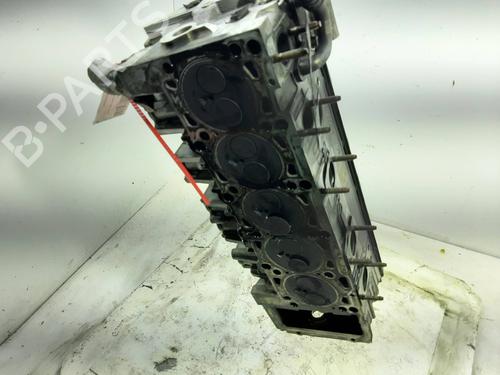 Used Cylinder head VW TOUAREG (7LA, 7L6, 7L7) 5.0 V10 TDI (313 hp) 10972097