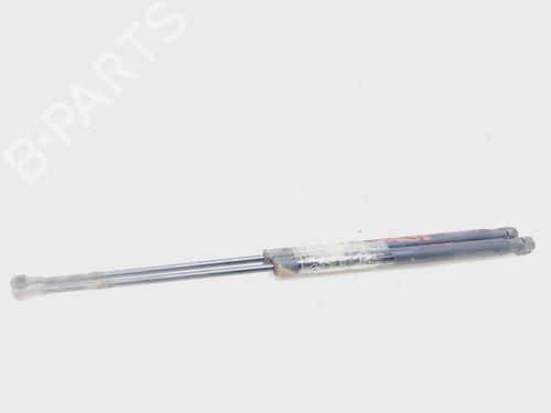 Tailgate lift support SEAT IBIZA III (6L1)  | BP20236612C138 