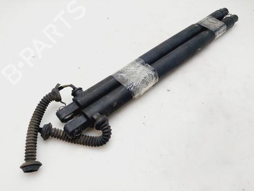 Tailgate lift support BMW X6 (E71, E72) xDrive 30 d | BP27090910C138 