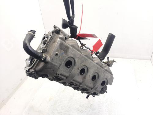Used Cylinder head NISSAN PRIMERA (P12) [2002-2025]  30467400