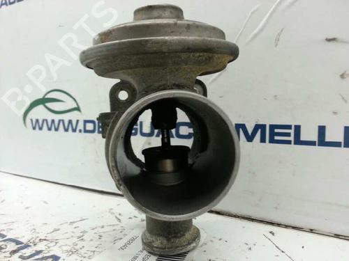 Egr BMW 3 (E46) 330 d | BP2900162M69 