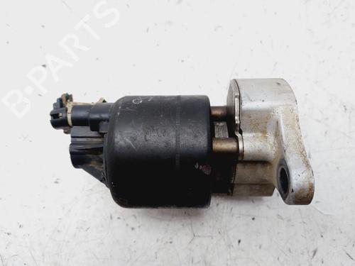 EGR-Ventil CHEVROLET AVEO / KALOS Hatchback (T200) 1.4 (83 hp) 29013682