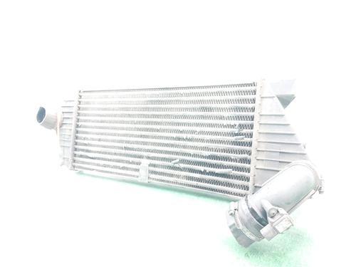 Intercooler MERCEDES-BENZ M-CLASS (W163) ML 270 CDI (163.113) | BP13075146M30 