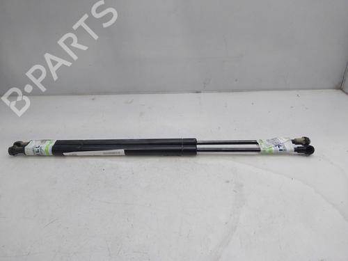 Tailgate lift support BMW X5 (E53) 3.0 d | BP17140697C138 