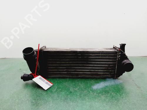 Used Intercooler RENAULT KANGOO / GRAND KANGOO II (KW0/1_) [2008-2026]  32256251