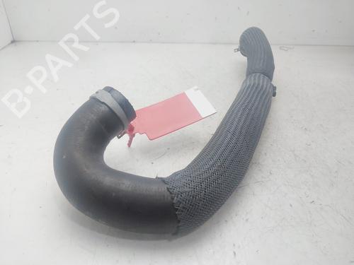 Pipe RENAULT AUSTRAL  | BP29600539M125 