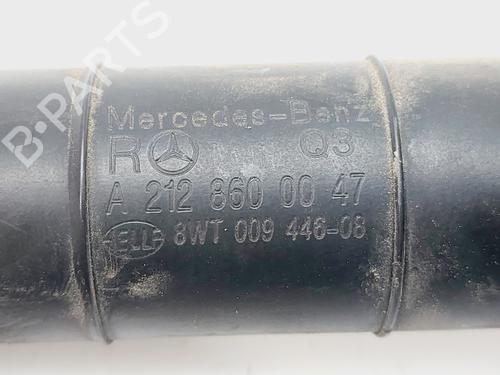  - Image 3