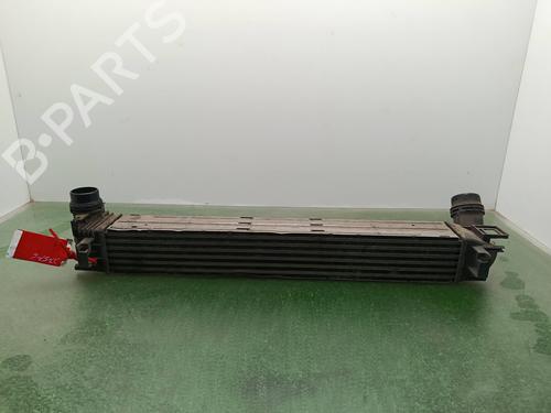 Intercooler RENAULT MEGANE III Grandtour (KZ0/1)  | BP29298379M30 