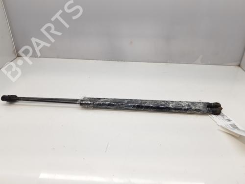 Used Tailgate lift support FORD FIESTA V (JH_, JD_) 1.4 TDCi (68 hp) 14005383