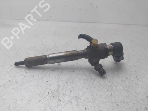 Used Injector RENAULT MEGANE II (BM0/1_, CM0/1_) [2001-2012]  30769612