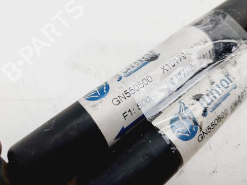 Tailgate lift support CITROËN C4 Coupe (LA_)  | BP30390517C138 