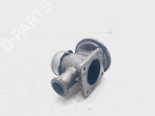 Egr BMW 5 Touring (E39) 530 d | BP20319790M69 