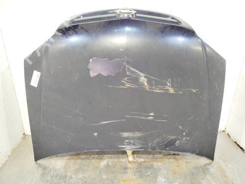 Hood OPEL SIGNUM Hatchback (Z03) 2.2 DTI (F48) 93184795 |
