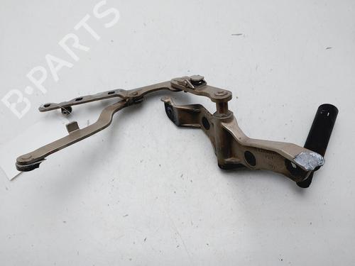 Hinge/Door check strap MERCEDES-BENZ S-CLASS (W221, V221) S 500 (221.071, 221.171) | BP25902719C146 