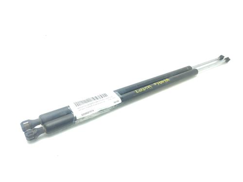 Gassdemper Bakluke RENAULT ESPACE IV (JK0/1_) 2.0 dCi (JK01, JK02, JK1J, JK1K, JK1H) (150 hp) 26330276