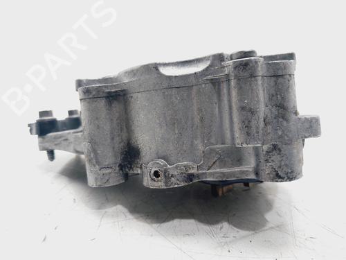 Vacuum pump LANCIA PHEDRA (179_) 2.2 D Multijet (179.AXM1B, 179.AXP11, 179.BXM1B,... | BP30175120M80