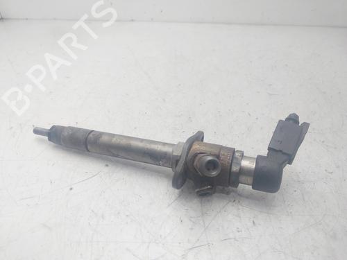 Injector LAND ROVER DISCOVERY III (L319) 2.7 TD 4x4 | BP29479794M100 