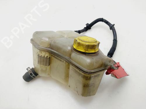 Used Expansion tank FORD FIESTA V (JH_, JD_) [2001-2014]  30660727
