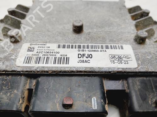 Engine control unit (ECU) FORD FIESTA VI (CB1, CCN)  | BP29810605M57