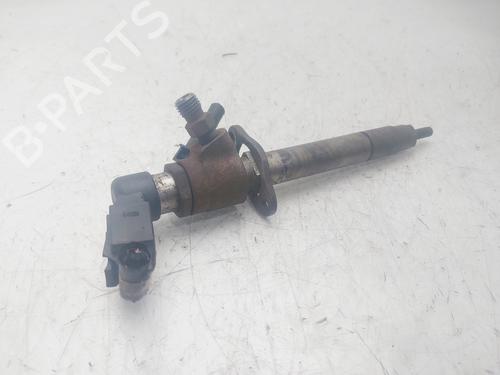 Injector LAND ROVER RANGE ROVER SPORT I (L320)  | BP29452493M100 