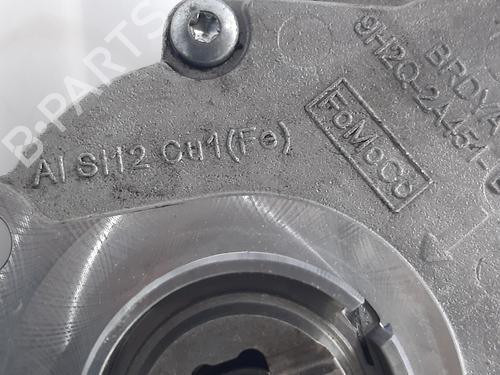 Vacuum pump LAND ROVER RANGE ROVER SPORT II (L494) 3.0 TDV6 4x4 | BP12417217M80 