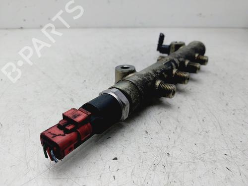 Injection rail PEUGEOT 206 Hatchback (2A/C)  | BP29394930M98 