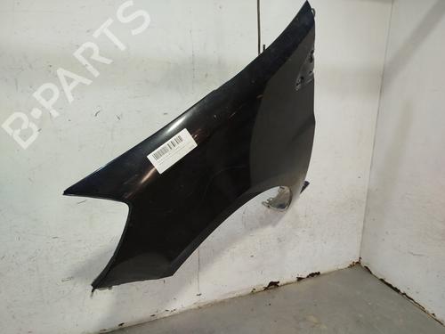 Left front fenders RENAULT CLIO III (BR0/1, CR0/1) 1.4 16V | BP28729292C41 