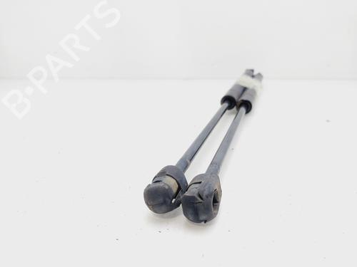 Tailgate lift support FORD FOCUS II (DA_, HCP, DP)  | BP21124981C138 