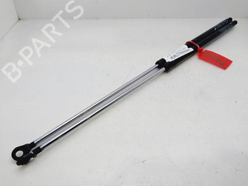 Used Tailgate lift support HYUNDAI COUPE I (RD) [1996-2004]  31316387