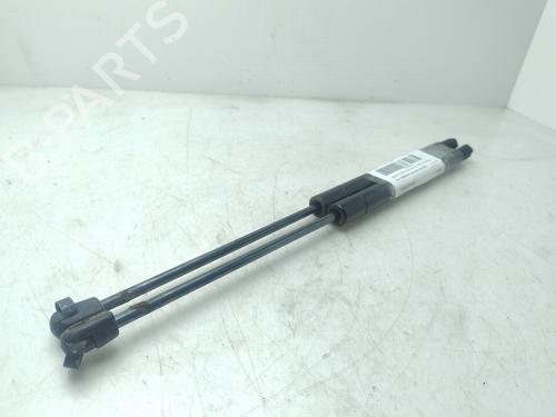 Tailgate lift support FIAT FREEMONT (345_)  | BP29467614C138 