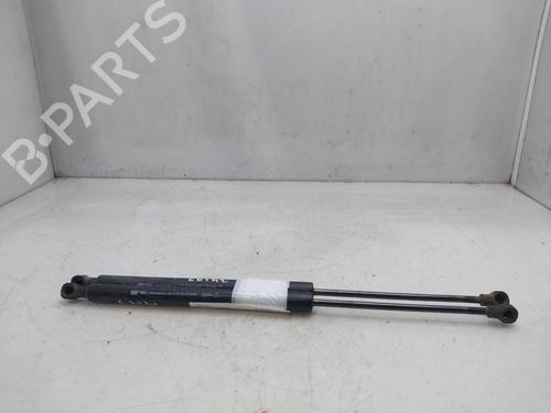 Tailgate lift support RENAULT CLIO IV (BH_)  | BP18033287C138 