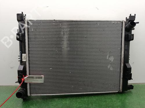 Water radiator DACIA DOKKER Box Body/MPV | BP32411053M31