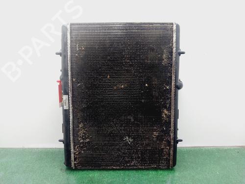 Køler CITROËN C4 II (NC_) [2009-2026]  31998037