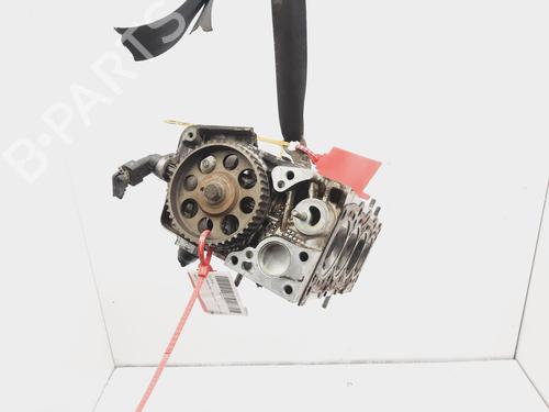 Cylinder head FIAT PANDA (169_) 1.2 (169.AXB11, 169.AXB1A) | BP20596942M5 