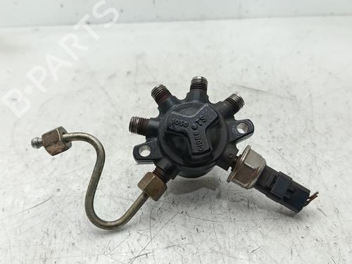 Einspritzleiste für RENAULT CLIO II (BB_, CB_) 1.5 dCi (B/CB08) (82 hp) 30389625