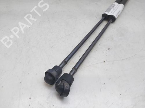 Tailgate lift support FORD FIESTA VI (CB1, CCN) 1.25 | BP16344717C138 