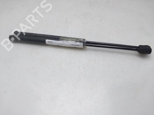 Tailgate lift support CHEVROLET AVEO / KALOS Hatchback (T200) 1.4 | BP17156701C138 