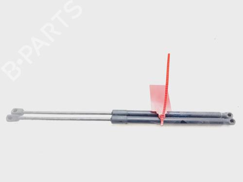 Tailgate lift support FORD FIESTA VI (CB1, CCN) 1.6 TDCi | BP25990226C138 