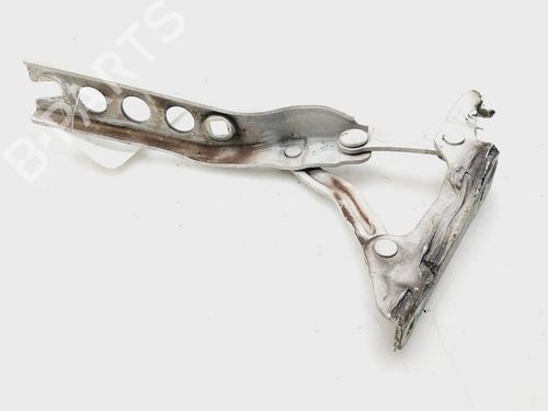 Hinge/Door check strap SKODA OCTAVIA II (1Z3) 1.9 TDI | BP21550169C146 