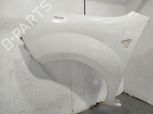 Forskærm venstre RENAULT KANGOO / GRAND KANGOO II (KW0/1_) 1.5 dCi 70 (KW0V, KW0A) (68 hp) 29704676