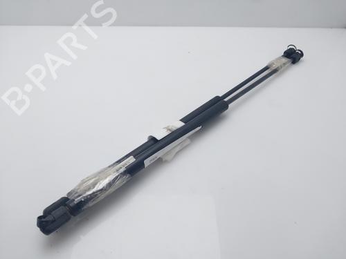 Tailgate lift support CITROËN C4 Coupe (LA_) 1.6 HDi | BP16007118C138 